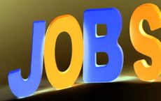 Article Image for Diverse Career Paths Emerging Across the Sports Industry