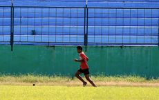 Article Image for Economic Growth Driving Increased Sports Investment