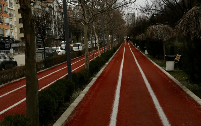 Article Image for Environmental Challenges Facing Outdoor Athletics Worldwide