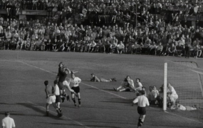 Article Image for Grassroots Movements Amplified by Sporting Legends