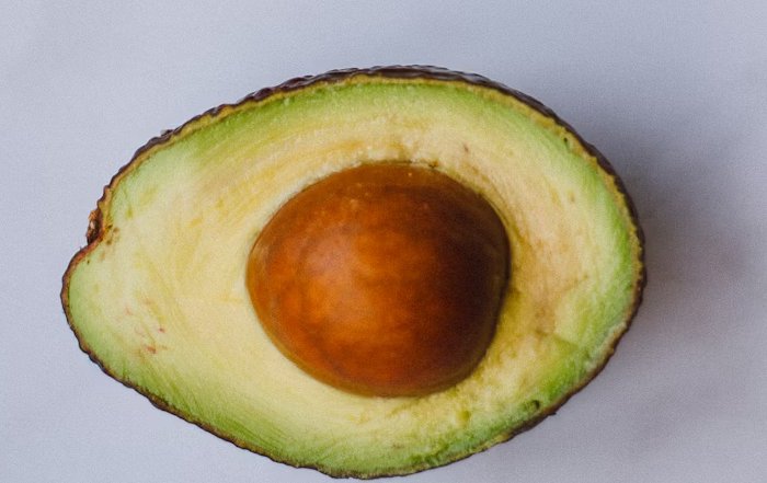 Article Image for Holistic Health Trends Influencing Modern Fitness Regimens