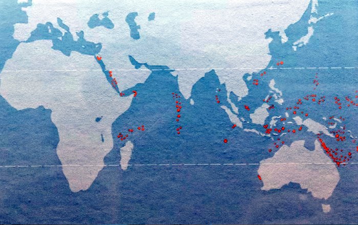 Article Image for International Travel Connecting Global Sports Leagues