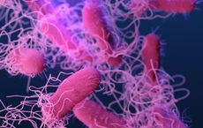 Article Image for Personalized Nutrition Plans Based on Genetic and Gut Microbiome Science