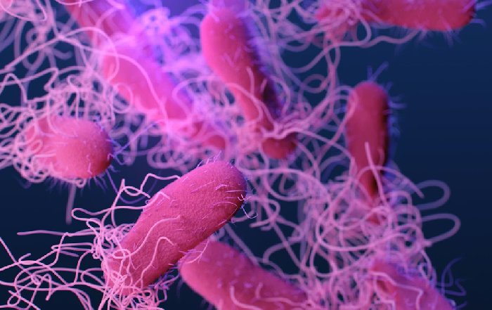 Article Image for Personalized Nutrition Plans Based on Genetic and Gut Microbiome Science
