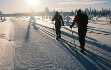 Article Image for Protecting Alpine Sports Environments from Climate Change