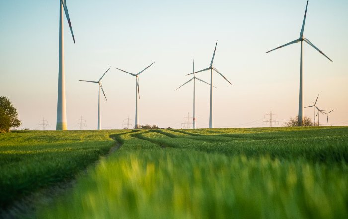 Article Image for Renewable Energy Solutions Powering Major Sports Venues