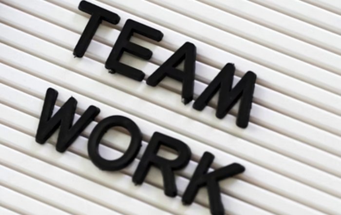 Article Image for Team Culture as a Foundation for Sustained Success